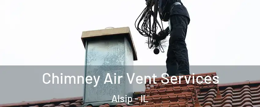  Chimney Air Vent Services Alsip - IL