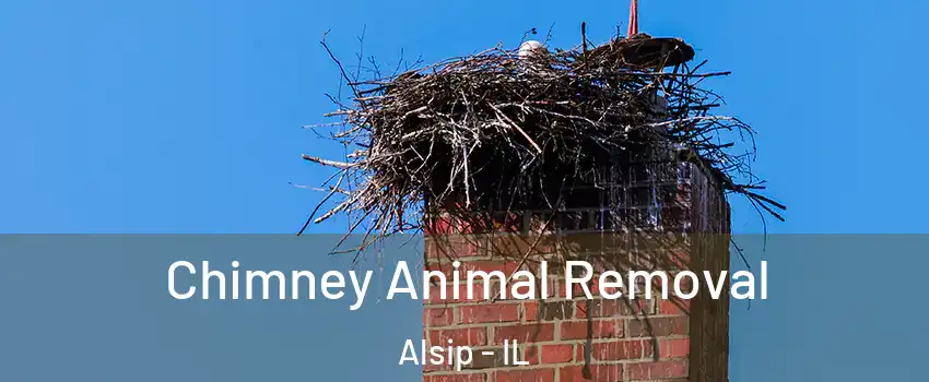  Chimney Animal Removal Alsip - IL
