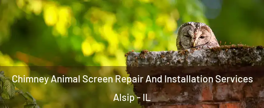  Chimney Animal Screen Repair And Installation Services Alsip - IL