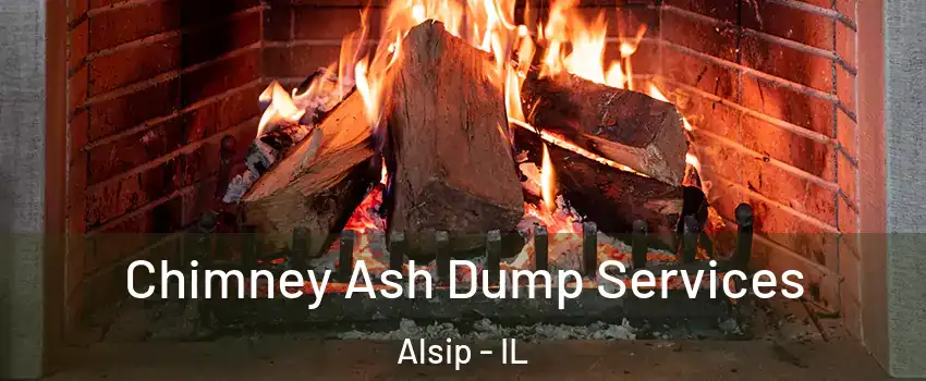  Chimney Ash Dump Services Alsip - IL