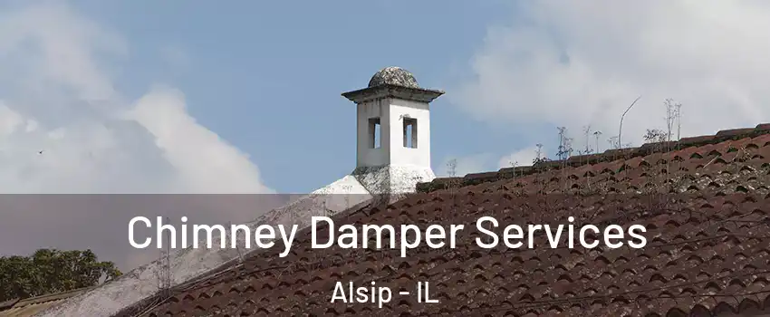  Chimney Damper Services Alsip - IL