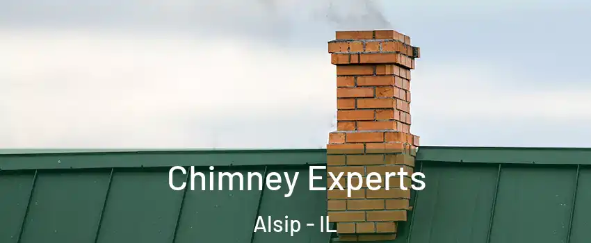  Chimney Experts Alsip - IL
