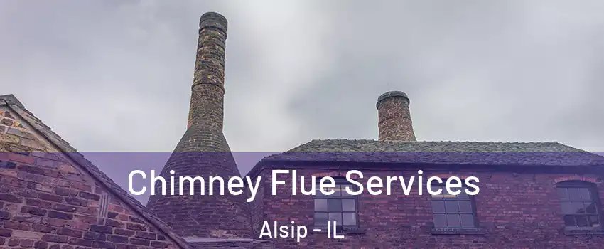  Chimney Flue Services Alsip - IL