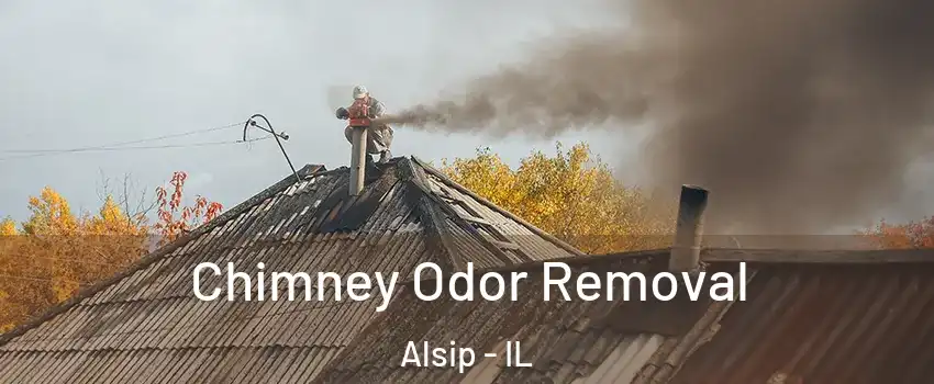  Chimney Odor Removal Alsip - IL