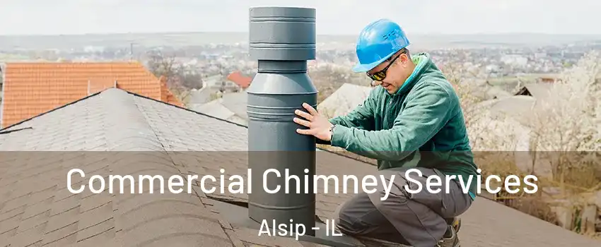  Commercial Chimney Services Alsip - IL