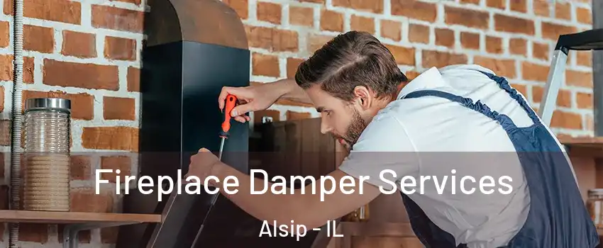  Fireplace Damper Services Alsip - IL