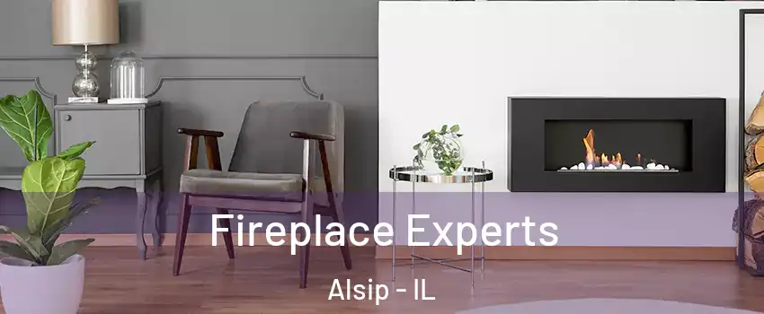  Fireplace Experts Alsip - IL