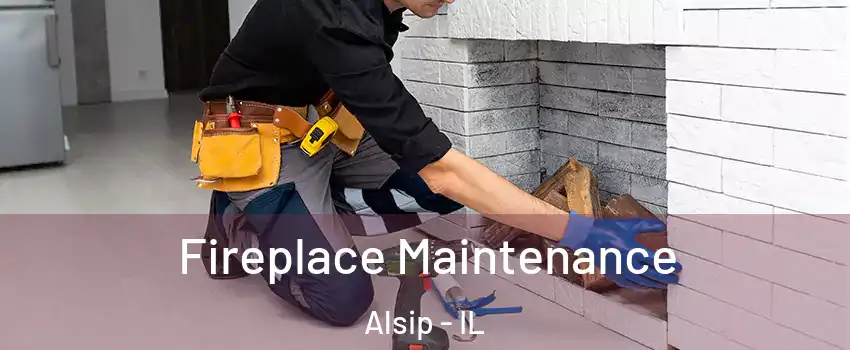  Fireplace Maintenance Alsip - IL