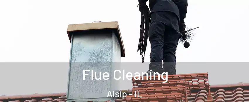  Flue Cleaning Alsip - IL