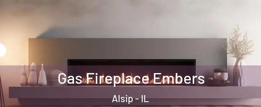  Gas Fireplace Embers Alsip - IL