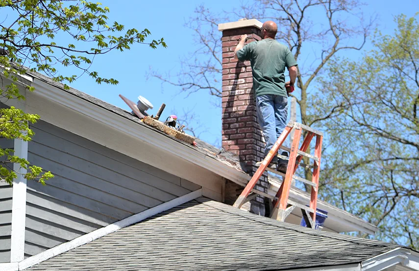 Chimney & Fireplace Inspections Services in Alsip, IL