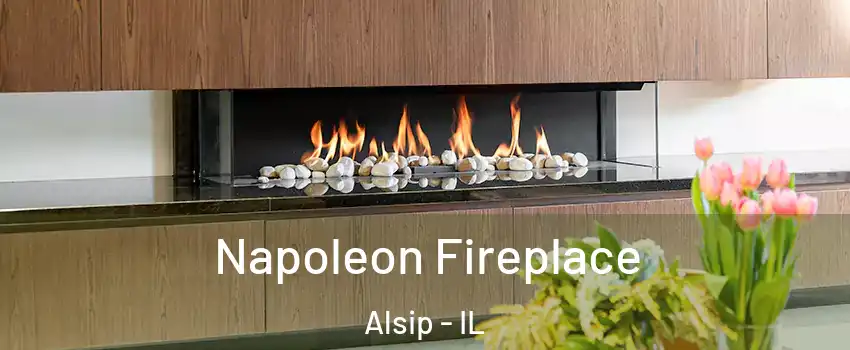  Napoleon Fireplace Alsip - IL