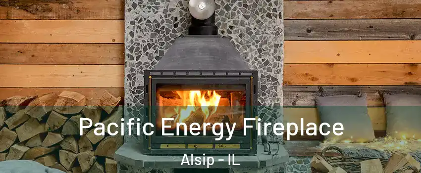  Pacific Energy Fireplace Alsip - IL